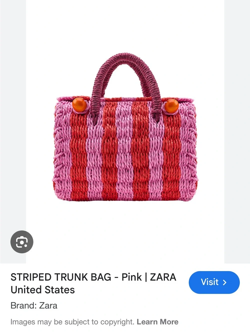 Zara Woven Trunk Bag